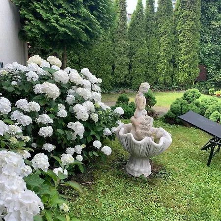 Hollywood * ミエンジズドロイェ