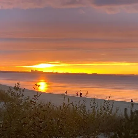 Hollywood アパート ミエンジズドロイェ