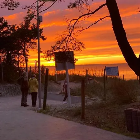 Hollywood アパート *