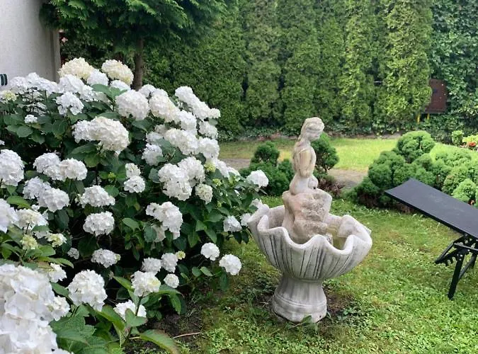 Hollywood * Miedzyzdroje